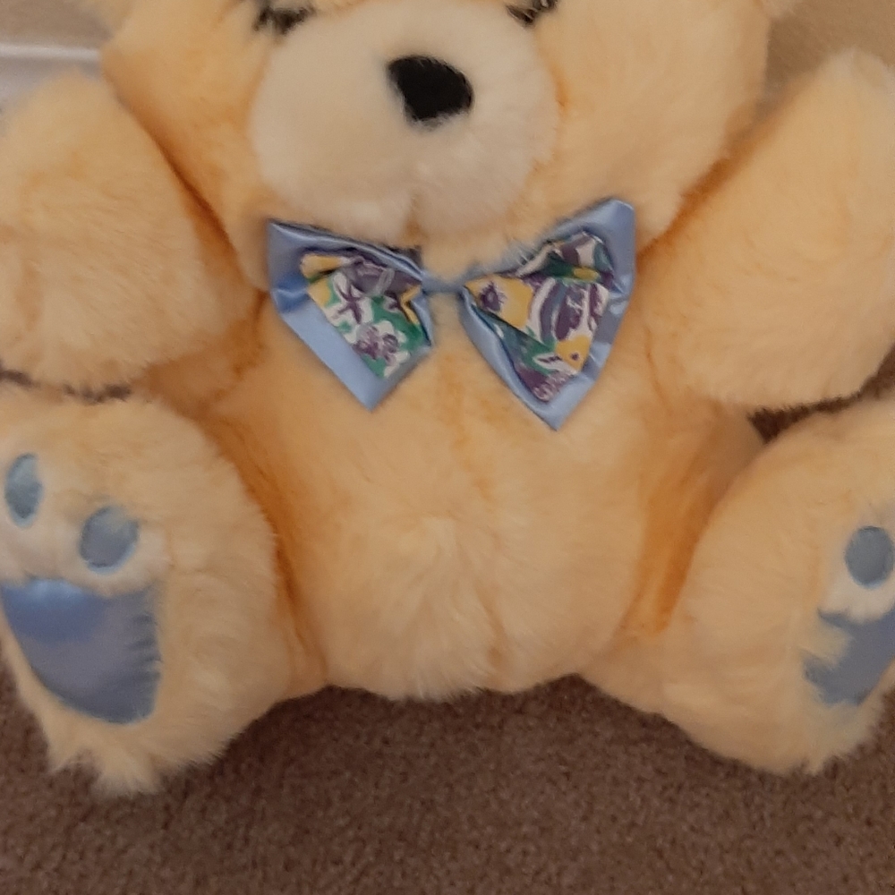 Teddy bear